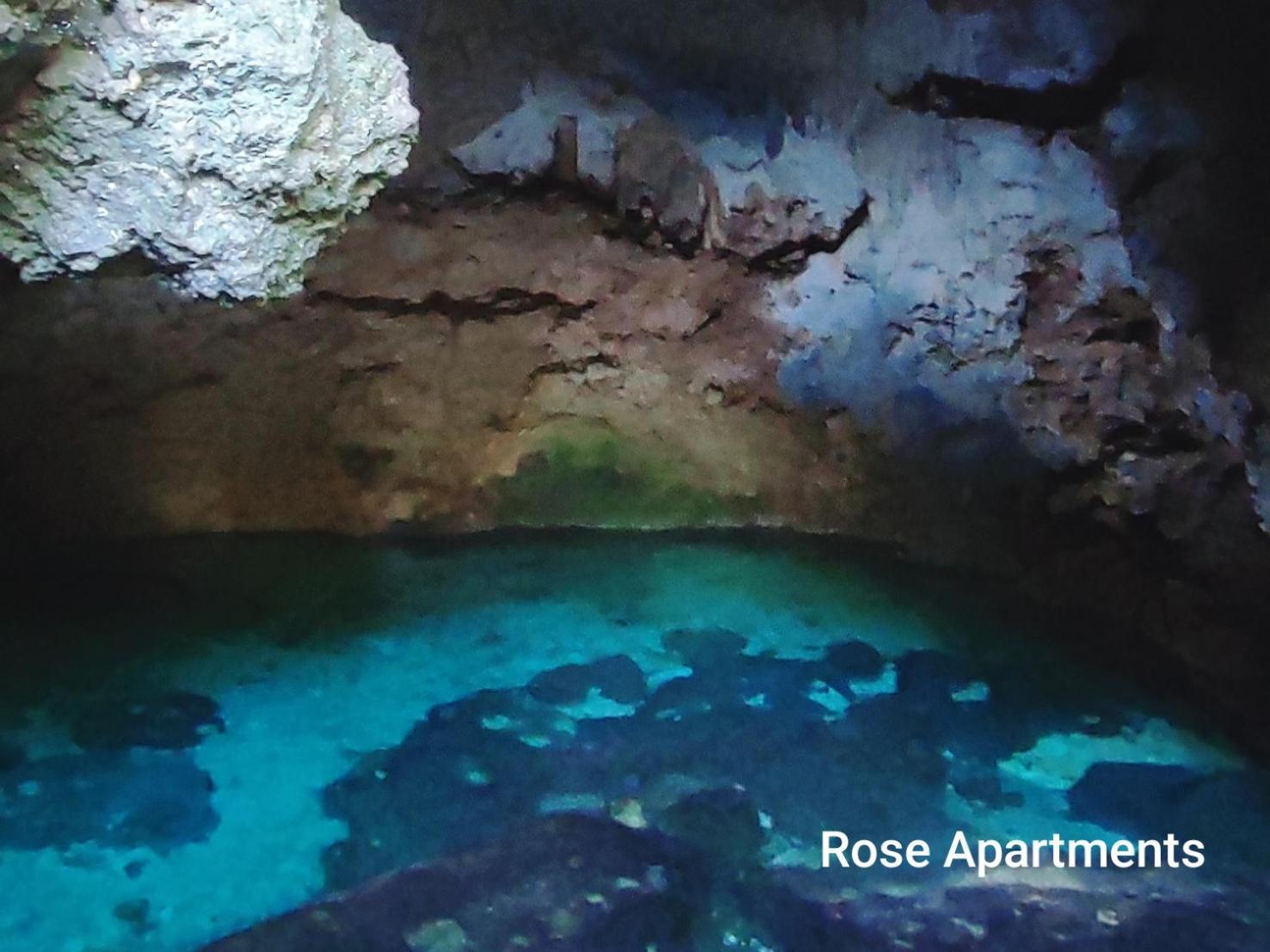 Rose Apartments Anda  Dış mekan fotoğraf